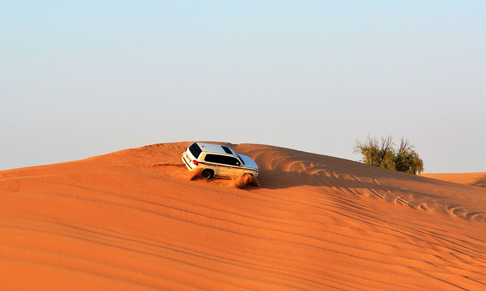 Dubai desert safari