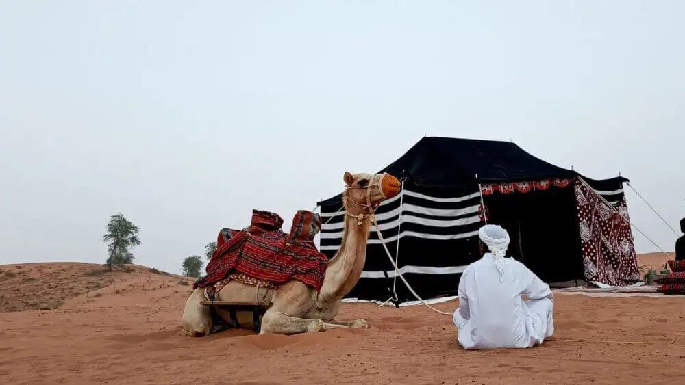 Things to do in Al Hamra Village in Ras Al Khaimah | Rove Al Marjan Island